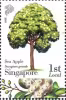 Know 10 Trees