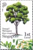 Know 10 Trees