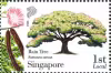 Know 10 Trees