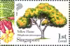 Know 10 Trees