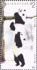 Giant Pandas
