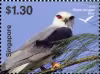 Birds of Prey