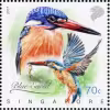 Nature Series Kingfishers