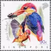 Nature Series Kingfishers