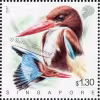 Nature Series Kingfishers