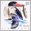 Nature Series Kingfishers