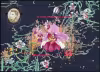 125 Years of Vanda Miss Joaquim