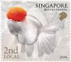Goldfishes Definitives