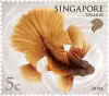Goldfishes Definitives