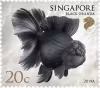 Goldfishes Definitives