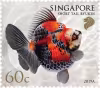 Goldfishes Definitives