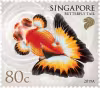 Goldfishes Definitives