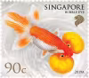Goldfishes Definitives