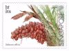 Critically Endangered Flora of Singapore – Flora of Singapore's Freshwater Swamp Forests