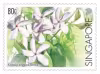 Critically Endangered Flora of Singapore – Flora of Singapore's Freshwater Swamp Forests