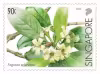 Critically Endangered Flora of Singapore – Flora of Singapore's Freshwater Swamp Forests