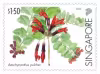 Critically Endangered Flora of Singapore – Flora of Singapore's Freshwater Swamp Forests