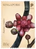 Critically Endangered Flora of Singapore – Flora of Lowland Dipterocarp Forests