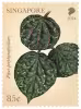 Critically Endangered Flora of Singapore – Flora of Lowland Dipterocarp Forests