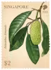 Critically Endangered Flora of Singapore – Flora of Lowland Dipterocarp Forests