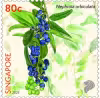 Critically Endangered Flora of Singapore – Flora of Coastal Forests