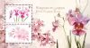 Singapore-Japan Joint Stamp Issue